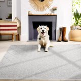 Ayyildiz Carpets Sivi vanjski tepih 80x150 cm Zagora – | shoptok.hr