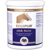 Equipur - cink forte - 1 kg Cene