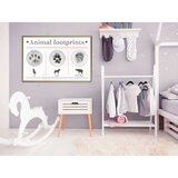  Poster - How to Recognize an Animal 30x20 | shoptok.hr