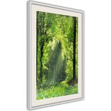  Poster - Forest Path 20x30 | shoptok.hr