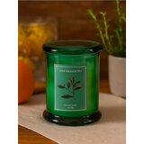 Sinsay Mirisna svijeća Jade Dragon Tea | shoptok.hr
