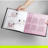 SecretPlay Knjiga KAMASUTRA SEX POSITIONS BOOK Cene