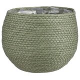 x Okrasni cvetlični lonec Jorck (Ø x v: 22 x 19 cm, zelene barve) | Shoptok.si