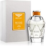 Bentley Beyond Collection Wild Vetiver parfumska voda 100 ml unisex | Shoptok.si