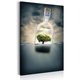  Slika - Journey of Nature 40x60 Cijene