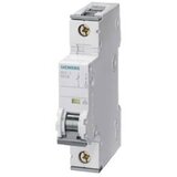 Siemens Dig.Industr. stikalo LS 5SY6116-7, (20890121) Cene