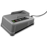 Kärcher Battery Power+ brzi punjač 2.445-045.0 Cijene