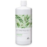 Pino Kopel proti prehladu, evkaliptus, 1000 ml | Shoptok.si