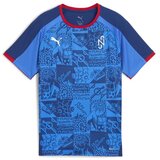 Puma Majice s kratkimi rokavi Neymar Playmaker pisana Cene