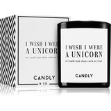 Candly & Co. I wish i were a unicorn mirisna svijeća 250 g | shoptok.hr