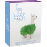 Gift Republic Green Lama - 1 kos | Shoptok.si