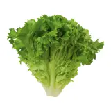 Salata