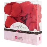 LoversPremium cvetovi vrtnic, rdeči | Shoptok.si