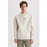 DEFACTO Boxy Fit Printed Long Sleeve Sweatshirt cene