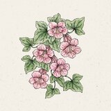 Jora Dahl Asarina "Mystic Rose" - 1 pkt. | Shoptok.si