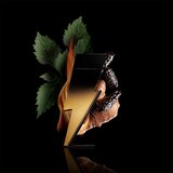 Carolina Herrera Bad Boy Extreme parfumska voda za moške 100 ml | Shoptok.si
