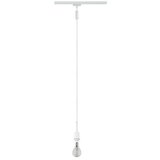 PAULMANN URail Visilica DecoSystems (20 W) | shoptok.hr