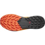 Salomon sense ride 5 gtx 471473 | shoptok.hr