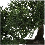  Umjetna biljka bonsai atmosphera | shoptok.hr