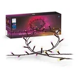 Philips-LED RGBW prigušiva spoljašnja girlanda HUE WACA 500xLED 44,4 m IP54