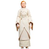 Hasbro FIGURICA VOJNE ZVEZD ANDOR SENATOR MON MOTHMA BLACK SERIES, (20838846) Cene