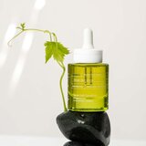 Korres Santorini Grape antioksidativni serum za nepravilnosti na koži lica 30 ml | shoptok.hr
