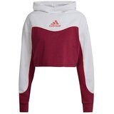 Adidas Hanorac sarena Cijene