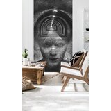  Stenske foto tapete Zoya VERDI + lepilo Gratis FTZY005 (foto) Cene