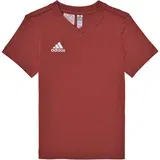 Adidas Majice s kratkimi rokavi ENT22 TEE Y Rdeča