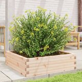  Vrtno cvetlično korito 80x80x23 cm trdna borovina | Shoptok.si