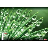 Target mapa A4 z elastiko natural | Shoptok.si