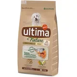 Ultima Dog Nature Mini Adult losos - Varčno pakiranje: 3 x 1,25 kg