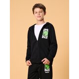 Sinsay Hoodie s tiskom Minecraft | shoptok.hr