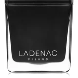 Ladenac Minimal Floral Hesperide mirisna svijeća 200 ml