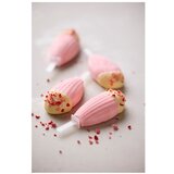 Blomsterbergs Silikonski modeli za lučke v kompletu 4 ks – | Shoptok.si