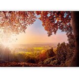 Artgeist Fototapeta Autumn Delight, 100x70cm | Shoptok.si
