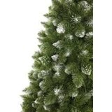  novogodišnja jelka 220 cm bor | Eponuda.com