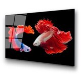 WALLXPERT dekorativna slika od kaljenog stakla fishes (uv 167) 70 x 100 cm | ePonuda.com