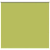 vidaXL Rolo zatemnitvena zavesa z listi zelene barve 155x130 cm, širina blaga 151,6 cm, poliester, (5000298166) | Shoptok.si