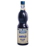 Fabbri sirup Mixybar Borovnica 1000 ml | Eponuda.ba