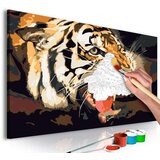  Slika za samostalno slikanje - Tiger Roar 60x40 | shoptok.hr