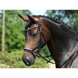 Busse Uzda MODENA črna/bela - VB/Cob Cene
