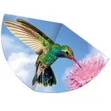 Kolibri zmaj koji leti
