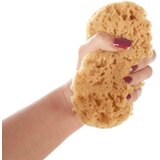  Gobica za kopanje | Shoptok.si