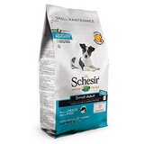 Mini Dog Small Adult s ribom – 2 kg Cijene