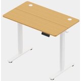 Vonhaus barva svetel les električno nastavljiva dvižna pisalna miza 100 × 60 cm z USB-C polnilnim priključkom Cene