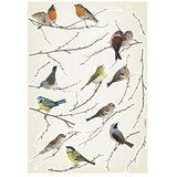 Komar Okrasna nalepka (50 x 70 cm) | Shoptok.si