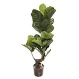 Dekordom Cvet u saksiji - ficus a1023 - n60 ( 025145 )
