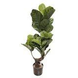 Cvet u saksiji - ficus a1023 - n60 ( 025145 )