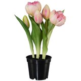 Modern Living Umetna Rastlina Tulpe I Cene